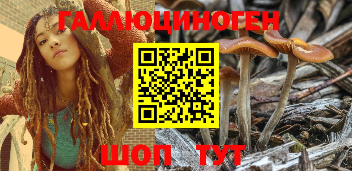 Орёл  Псилоцибиновые грибы Psilocybe  Псилоцибиновые грибы мухоморы  Вход с VPN 