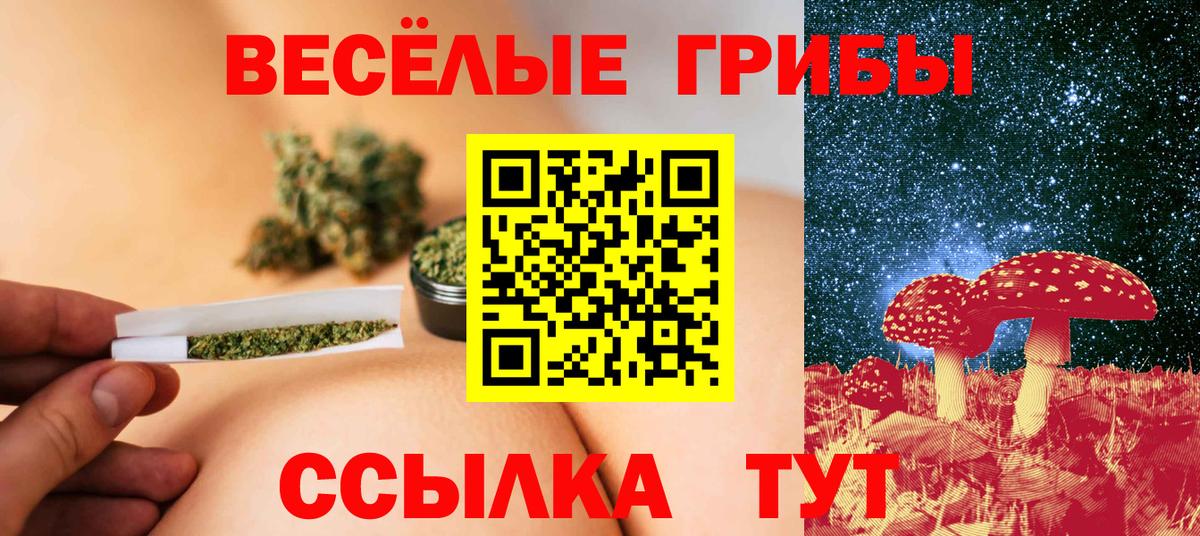 Галлюциногенные грибы прущие грибы Орёл
